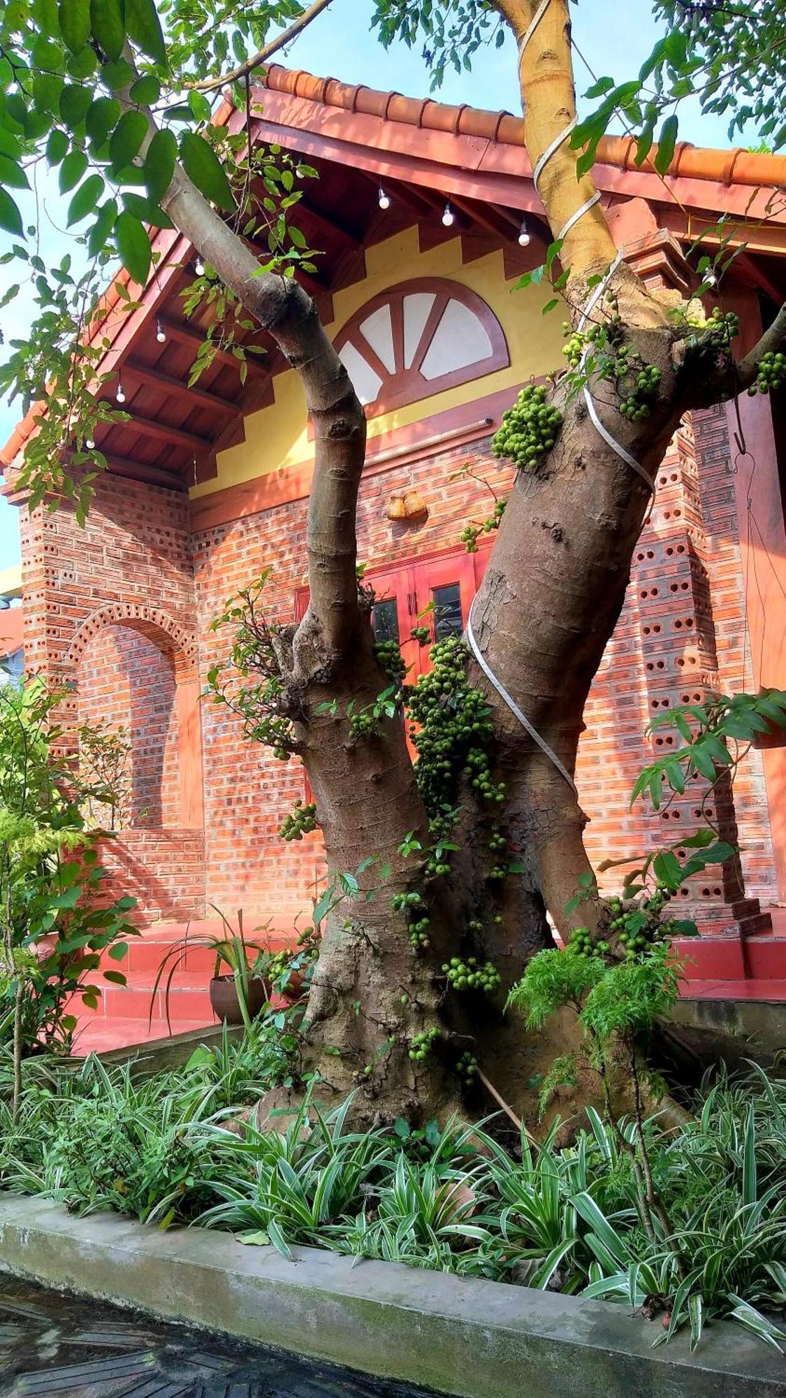 Tam Family Homestay Ninh Bình Kültér fotó