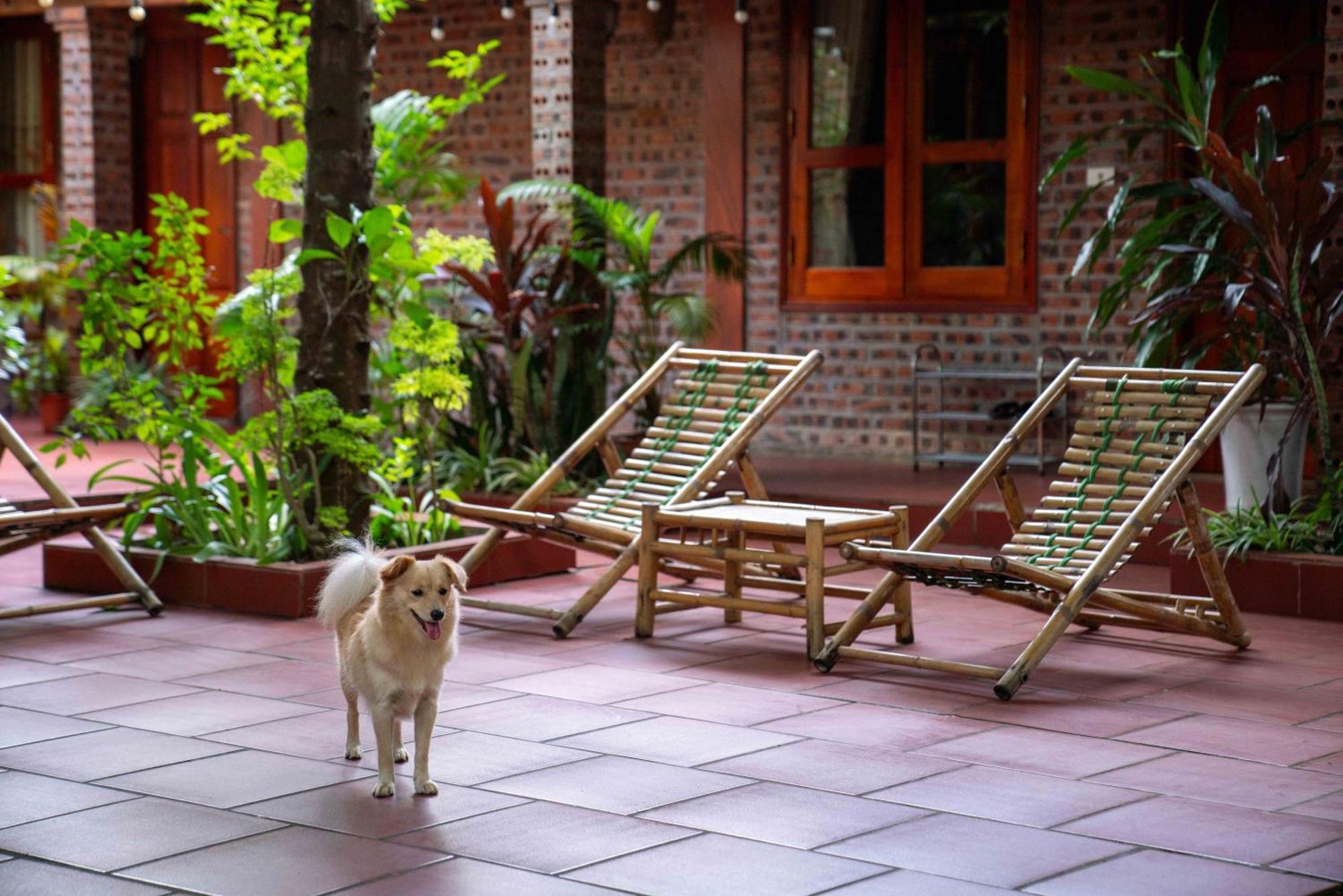 Tam Family Homestay Ninh Bình Kültér fotó